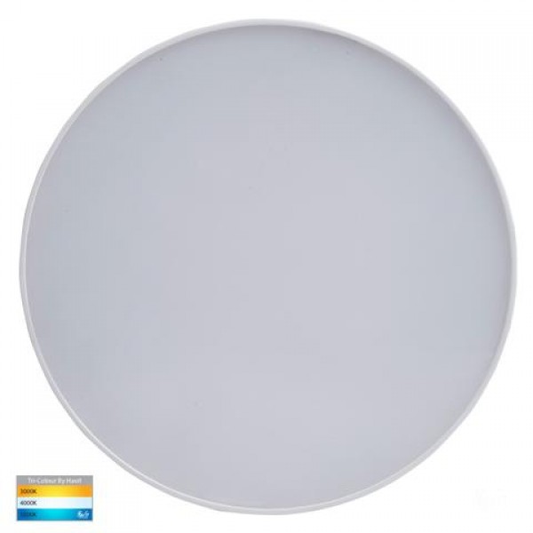 Havit-NELLA Black & White 30w Surface Mounted LED Oyster 